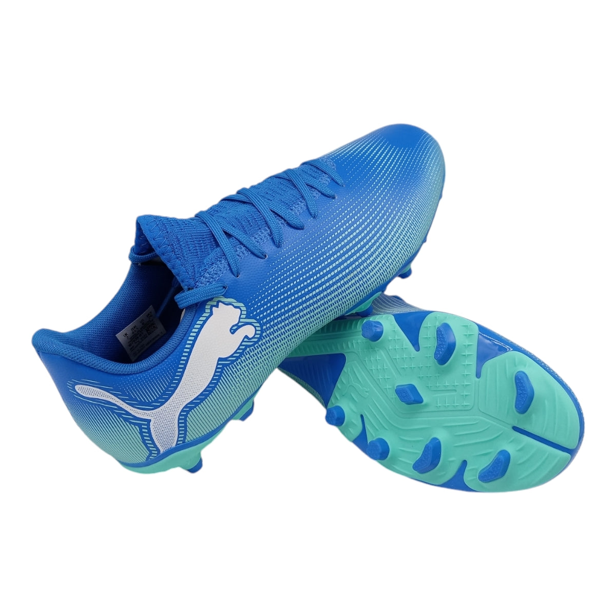Soccer Caballero Puma 107939 01
