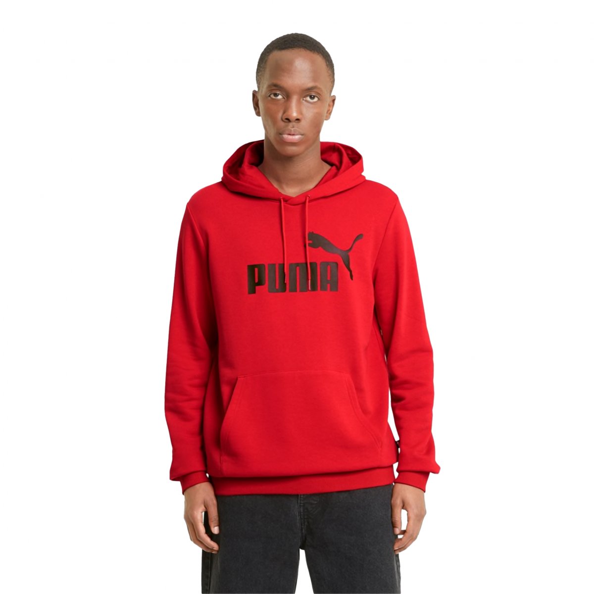 Sudadera Puma Essentials Big Logo Caballero 586688 11