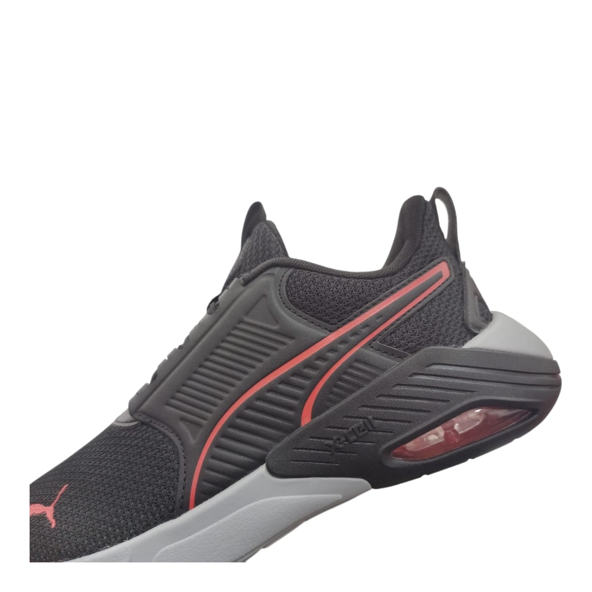 Tenis Caballero Puma 379495 20